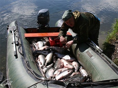 Рыбалка на реках Камчатки (16+)