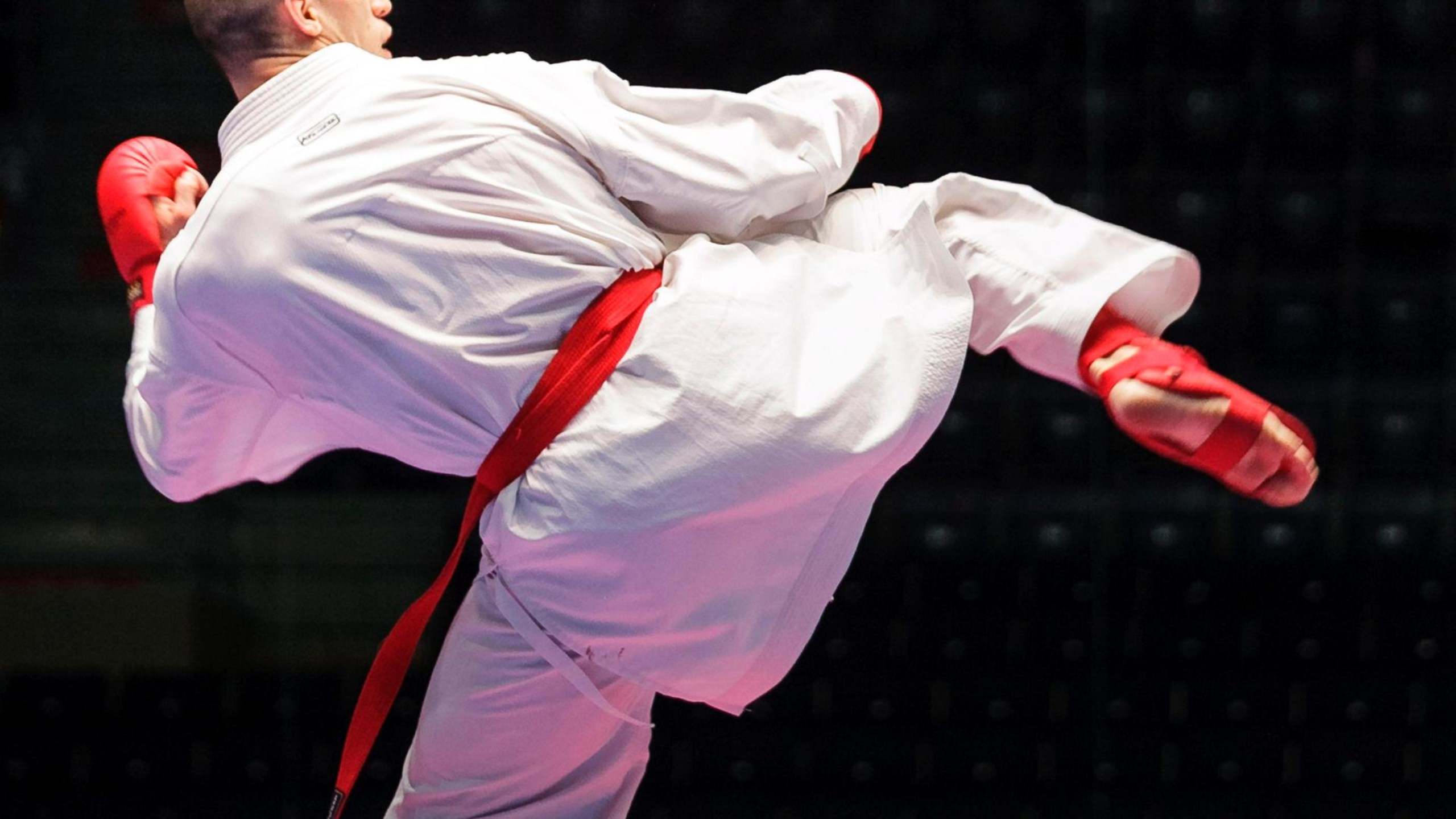 Karate: Full Contact