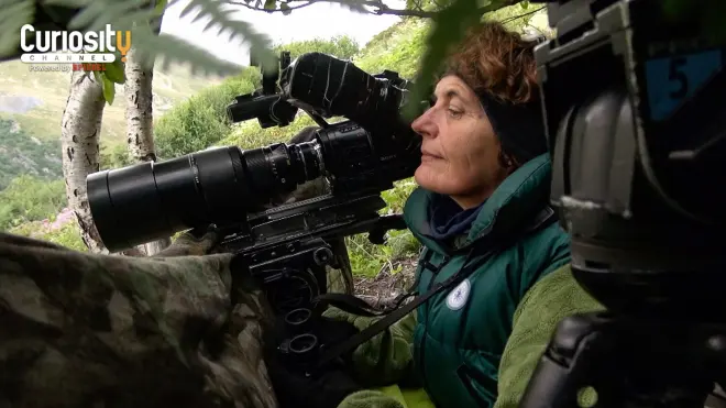 Kamera-Frauen in der Wildnis