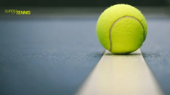 Tennis: Coppa Davis 2014: Fognini - Murray