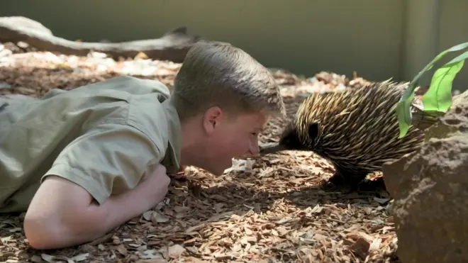 Australia Zoo : le défi des Irwin