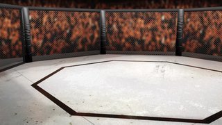 UFC Fight Night - Nicolau v Perez